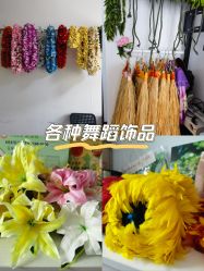 -呼拉汇舞蹈生活馆 Hawaii Hula&Tahiti Dance Studio