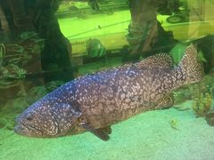 -尚泰清迈机场购物中心