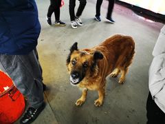 -大学城夜市大排档(凤栖路店)