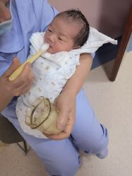 -复旦大学附属妇产科医院(杨浦院区)