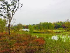 -昆山城市生态森林公园