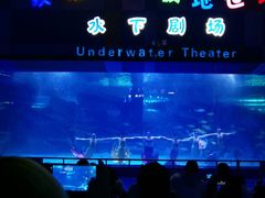 -泉城欧乐堡海洋极地世界