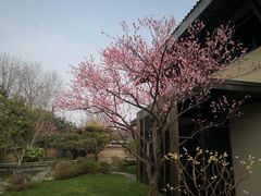 -新荣记(西溪湿地店)