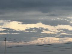 -桤木河湿地公园