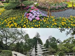 -广州市白云山风景名胜区