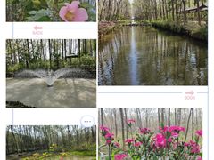 -合肥滨湖国家森林公园