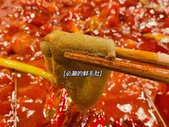 -酒友老火锅(渝中店)