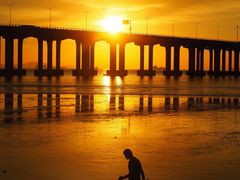 -宝安西湾红树林湿地公园