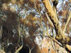 -康熙养生SPA·轻奢足道(江宁万达店)