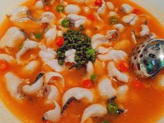 青花椒味砂锅鱼-青花椒花椒鱼(合生汇店)