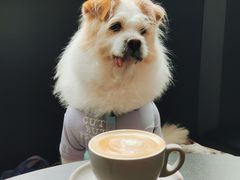 -叁 Three· bistro餐酒馆