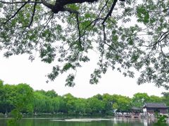 -西湖文化广场