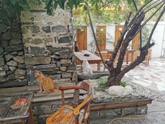 -喵屿·大理花园猫咖