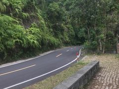 -海南热带雨林国家公园吊罗山景区