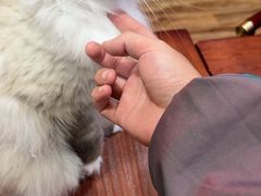 -剧狐剧本杀·月球探案馆(人民广场1号店)