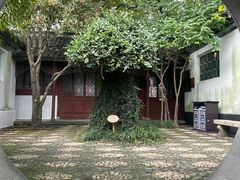 -上海醉白池公园
