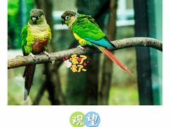 -上方山森林动物世界