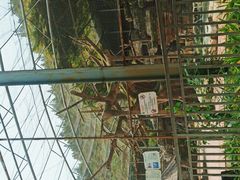 -北宫国家森林公园