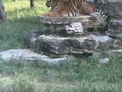 -秦皇岛野生动物园