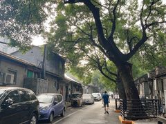 -丽江庭院之爱在路上(西单店)