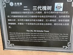 -大槐树寻根祭祖园
