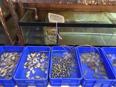 -QQ海鲜餐厅