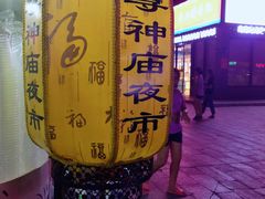 -尊神庙美食文化城