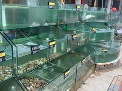 水产区-四海鲜渔家菜(黄金海岸店)