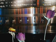 -后院儿·精酿·塔罗Happy Bar