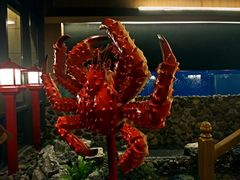 -綱元·海鲜豆捞(明州里店)