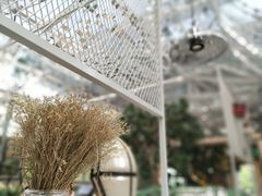 -维苏唯披萨(青云街店)