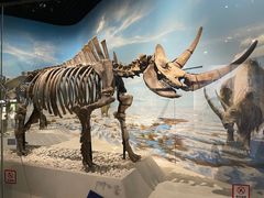 -国家自然博物馆