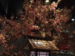 -古田居·特色寿司料理(骏欣中心店)