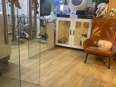 -喜狗宠物生活馆(岳州路店)