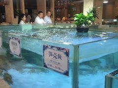 -旺顺阁海鲜广场(亚运村店)