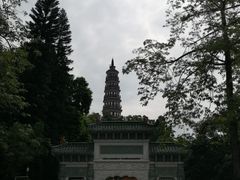 -顺峰山公园