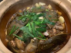 啫啫甲鱼煲-金龙·打边炉(南京西路店)