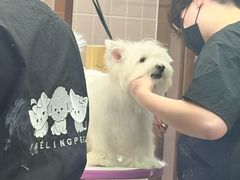 -FAELING PETS美天灵宠物(富力广场店)