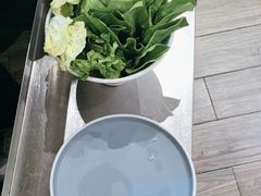 -探窝·竹笙椰子鸡(杨箕店)