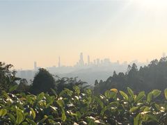-火炉山森林公园