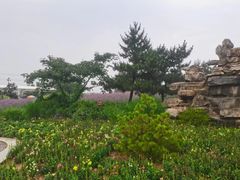 -羊亭河湿地公园