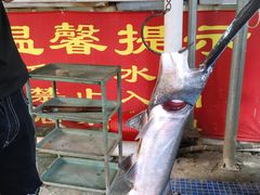 鸭嘴鱼-鸿渡渔庄·特色鸭咀鱼