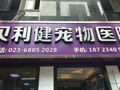 -宠颐生贝利健动物医院(谢家湾分院)