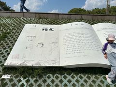 -观潮胜地公园