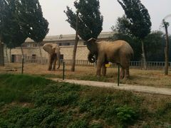 -辛玛王国游乐园