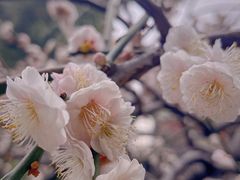 -静安雕塑公园