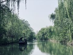 -洛阳市隋唐城遗址植物园