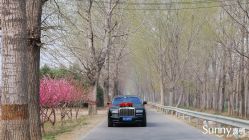 -Sunny喜铺婚礼策划(东部店)