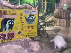 -正佳雨林生态植物园