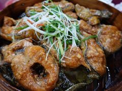 葱烧河鳗鱼-阿静美食